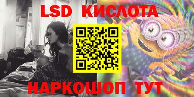 прущие грибы Новоалтайск